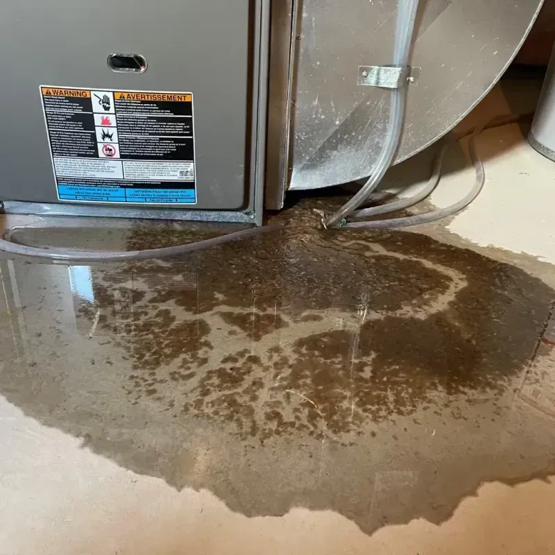 Appliance Leak Cleanup in Nueces County, TX